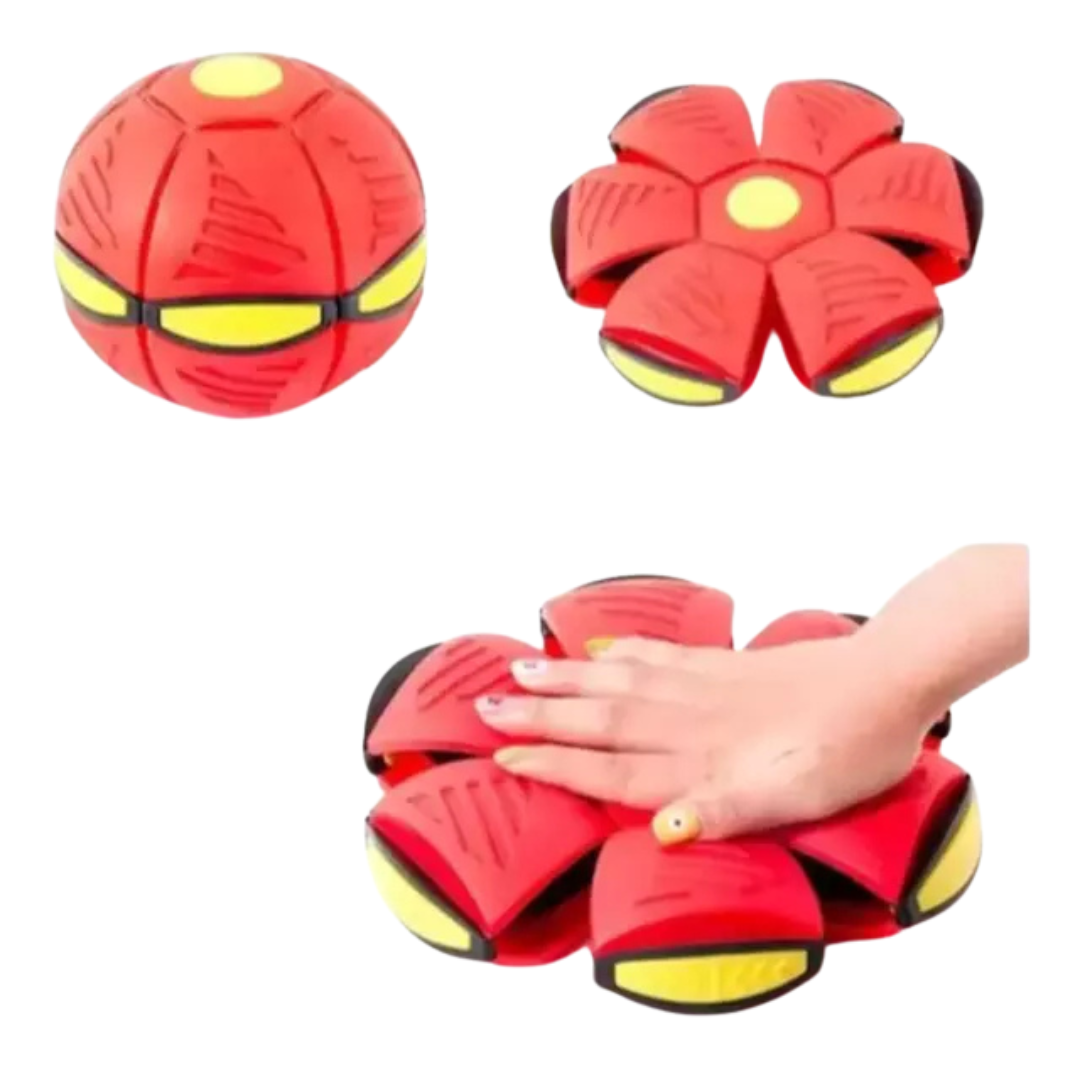 bola mágica para pet